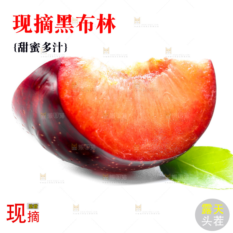 白底上的黑布林