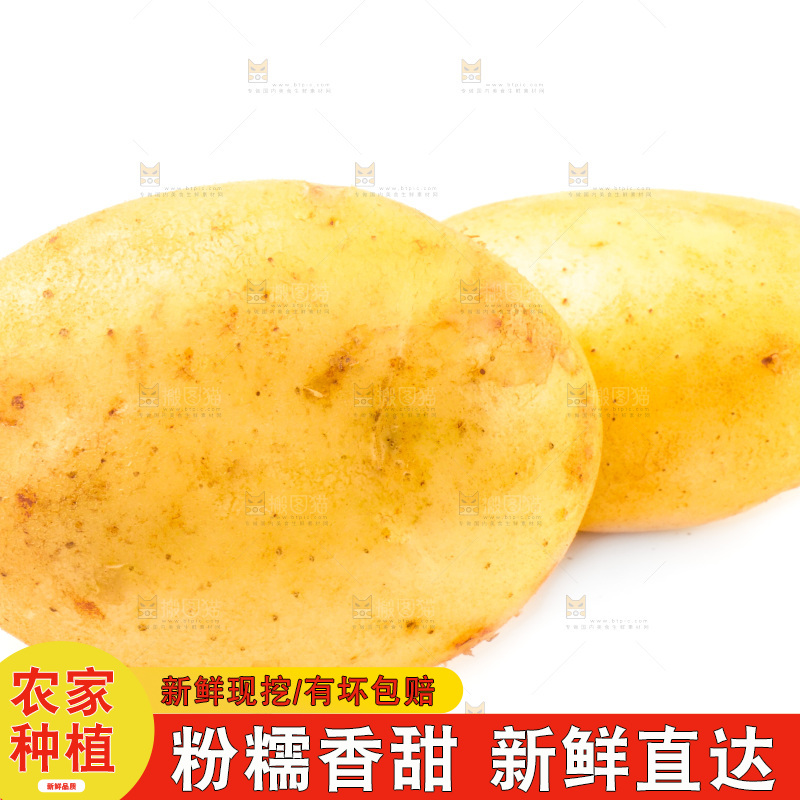 白底上的新鲜土豆