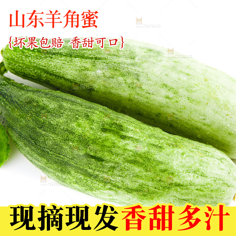 白底上的山东羊角蜜甜瓜