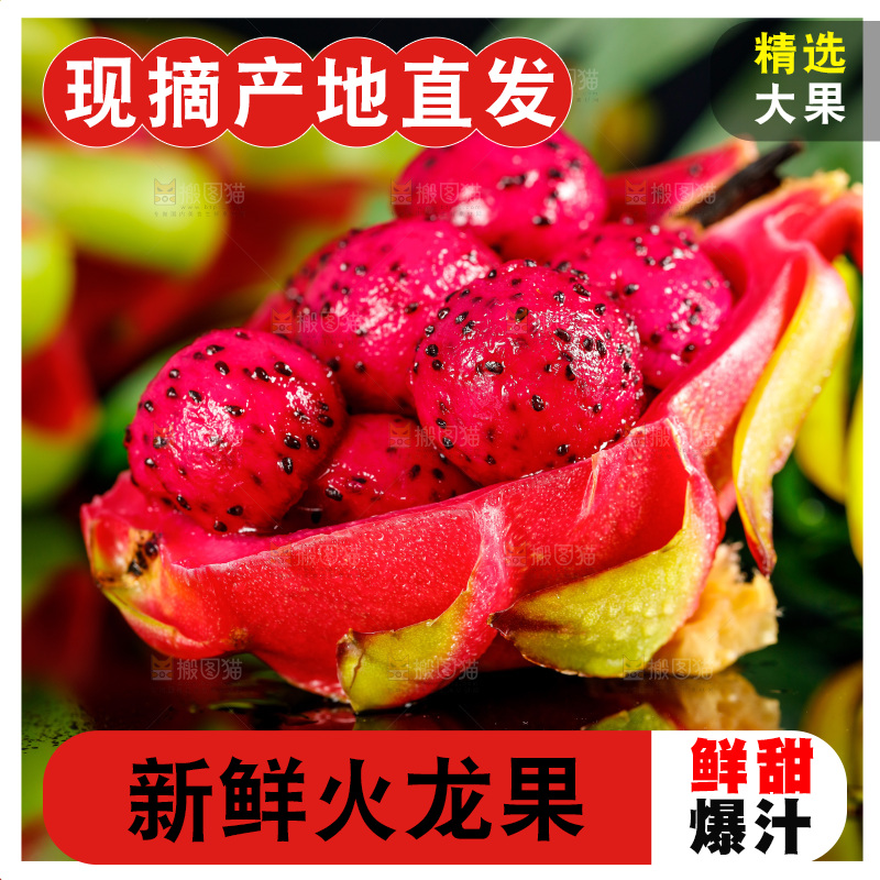 深底上放着海南红心火龙果
