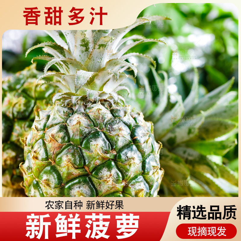 云南香水小菠萝放在白底上