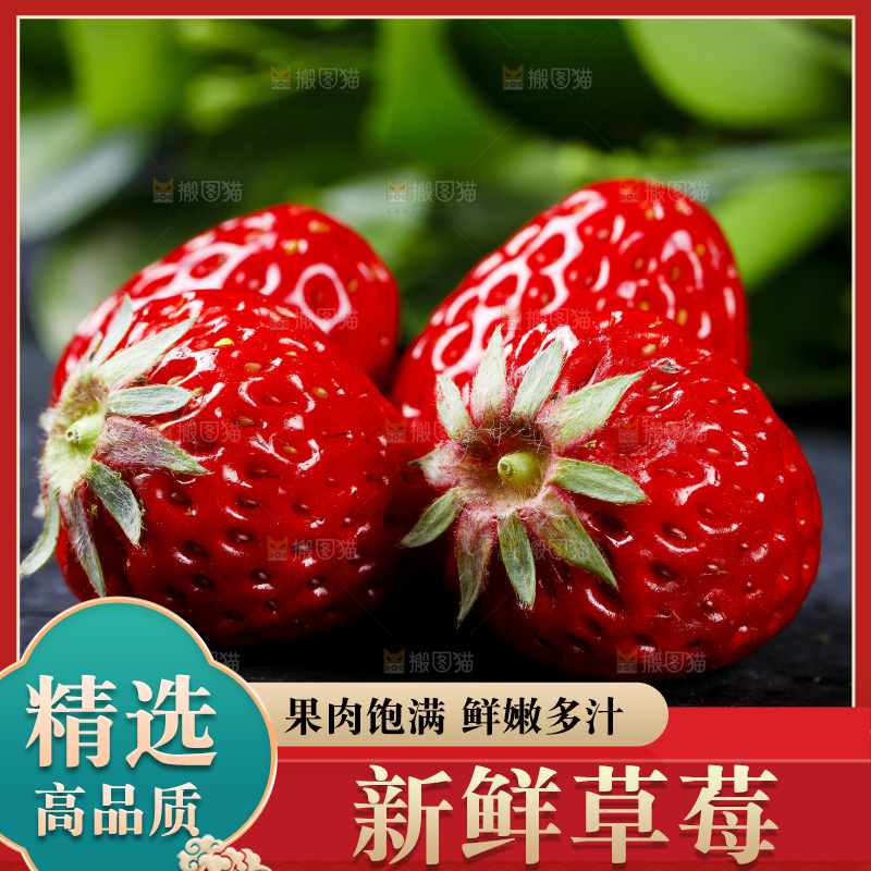 丹东草莓放在深底上