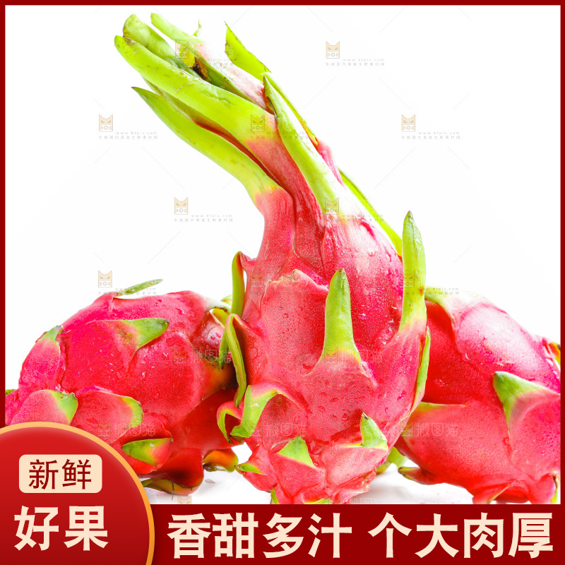 白底上的火龙果