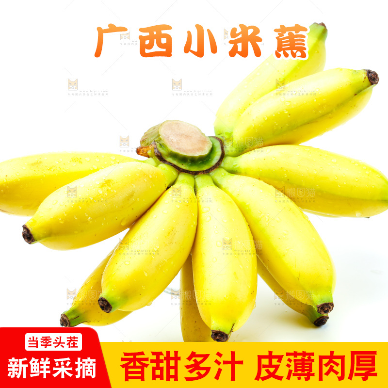 白底上的小米蕉