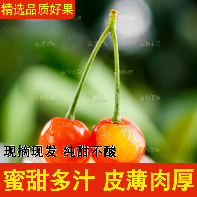 浅底上的水晶黄樱桃