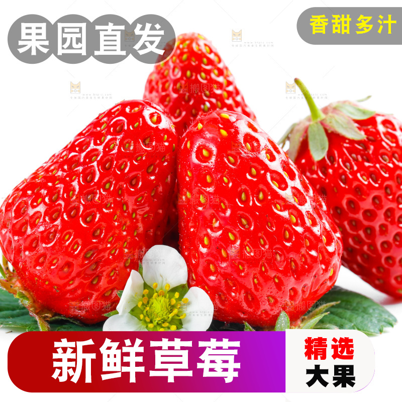 白底上放着99草莓