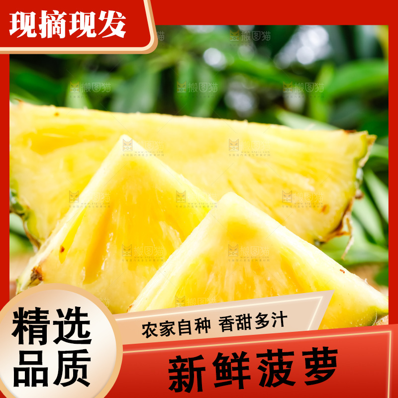 云南香水小菠萝放在白底上