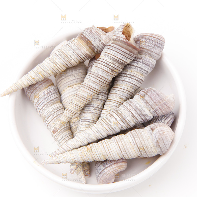 白底上的钉螺