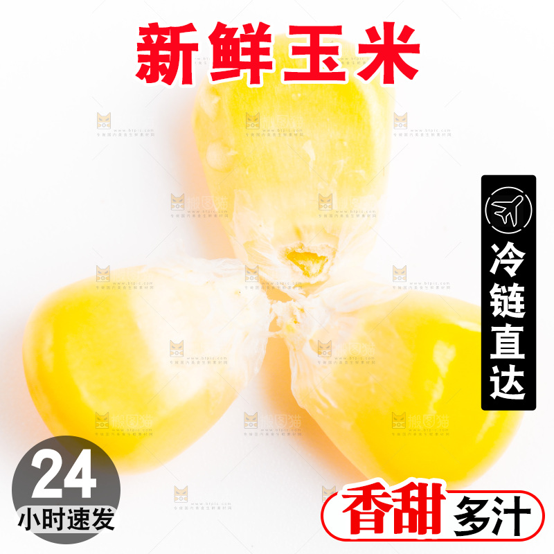 白底上的甜玉米