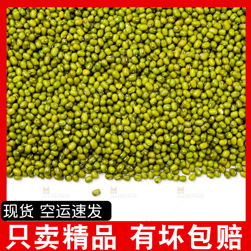 新鲜绿豆放在白底上