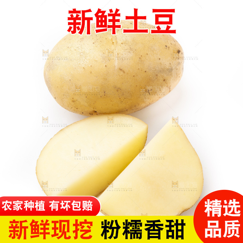 新鲜土豆放在白底上