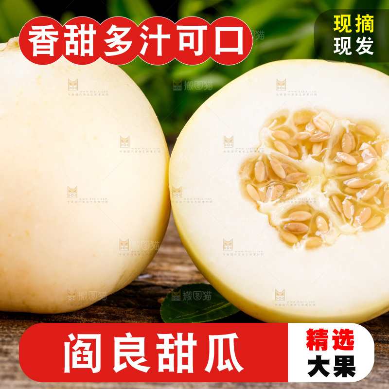 木底上的阎良甜瓜