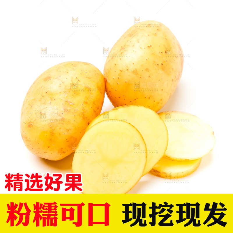 新鲜土豆放在白底上