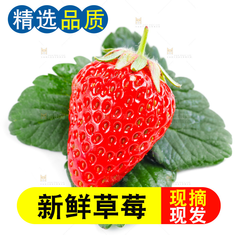 白底上的丹东草莓