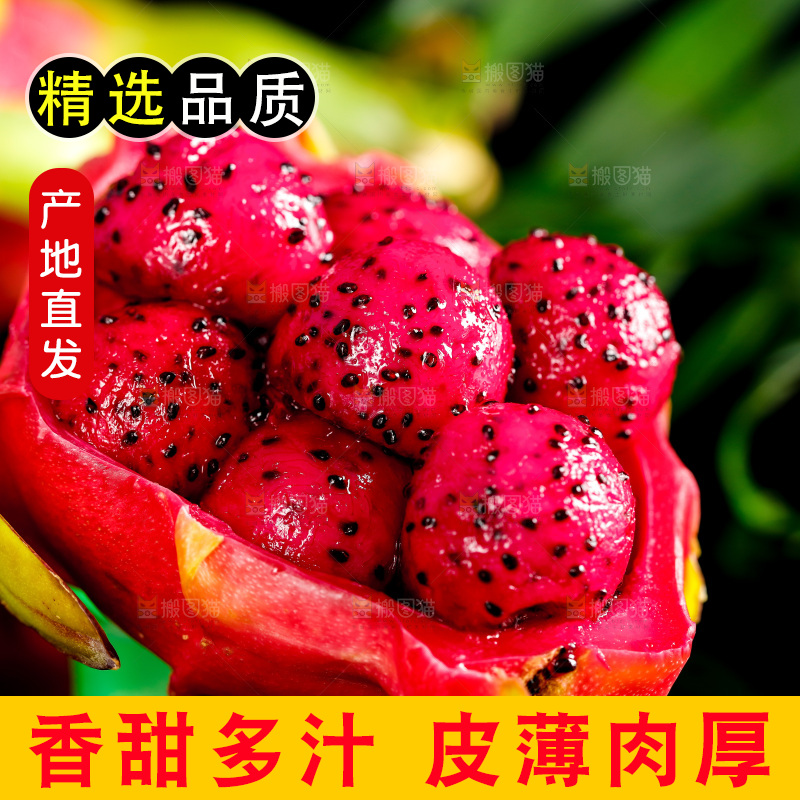 深底上放着红心火龙果果肉