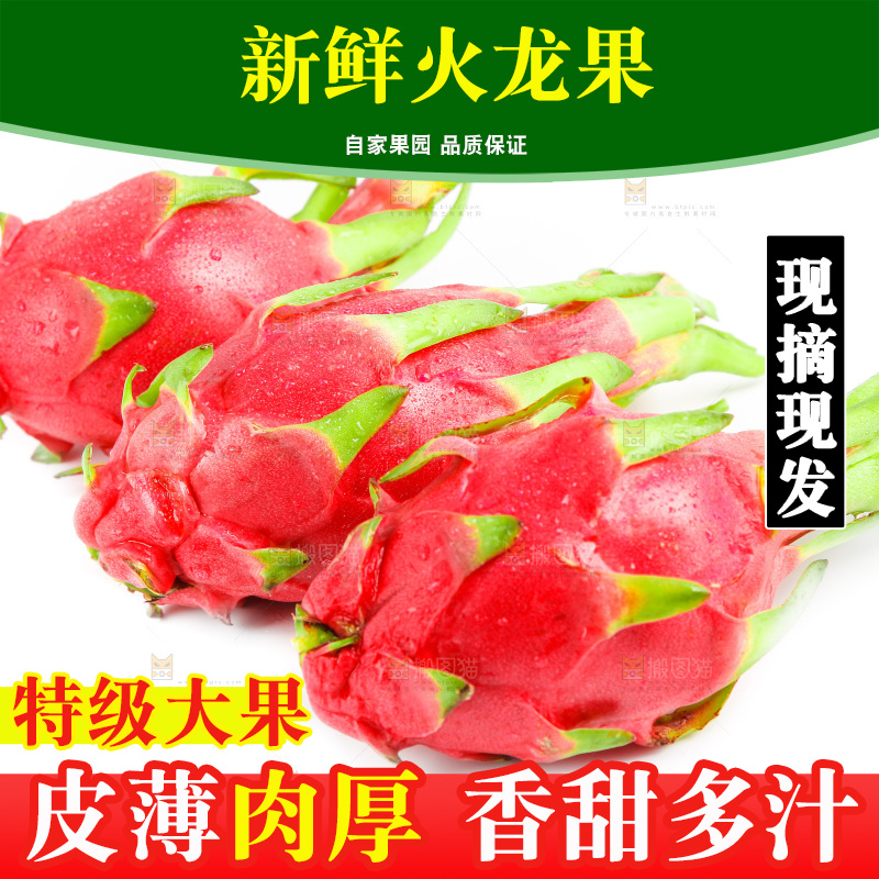 白心火龙果放在白底上