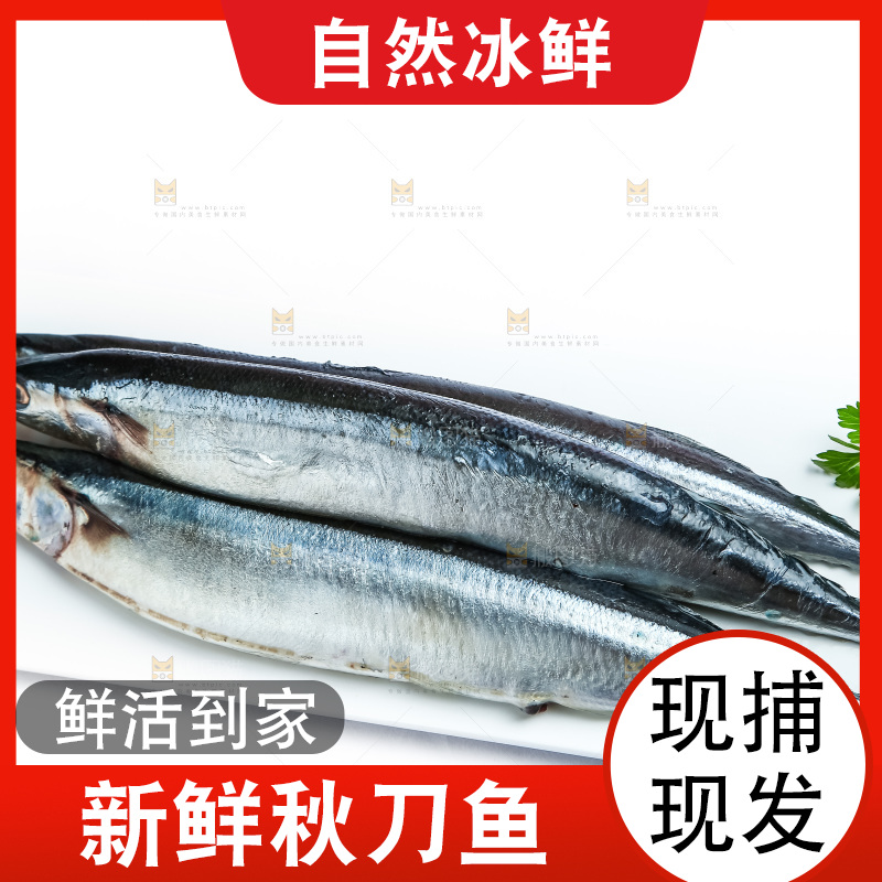 白底上放着一盘秋刀鱼