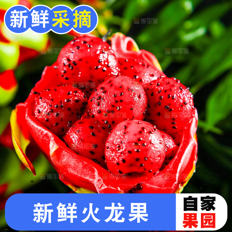 黑底上放着海南红心火龙果