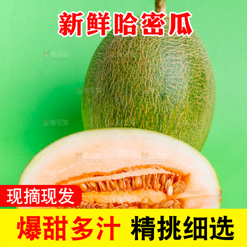 浅底上的哈密瓜