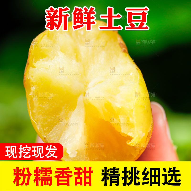 手拿黄心土豆
