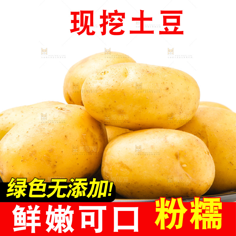 一盘新鲜土豆放在白底上