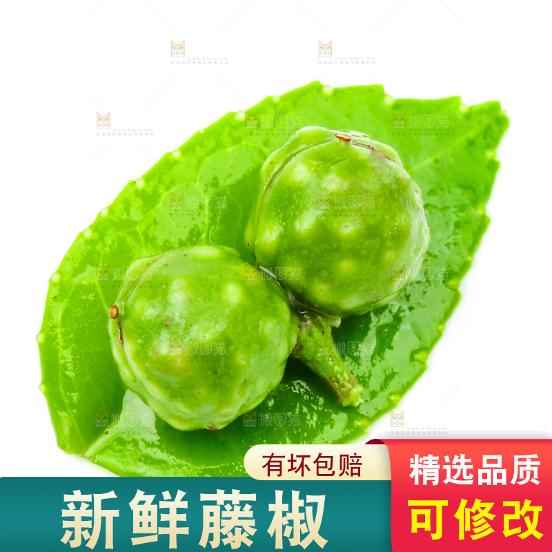 新鲜麻椒放在白底上