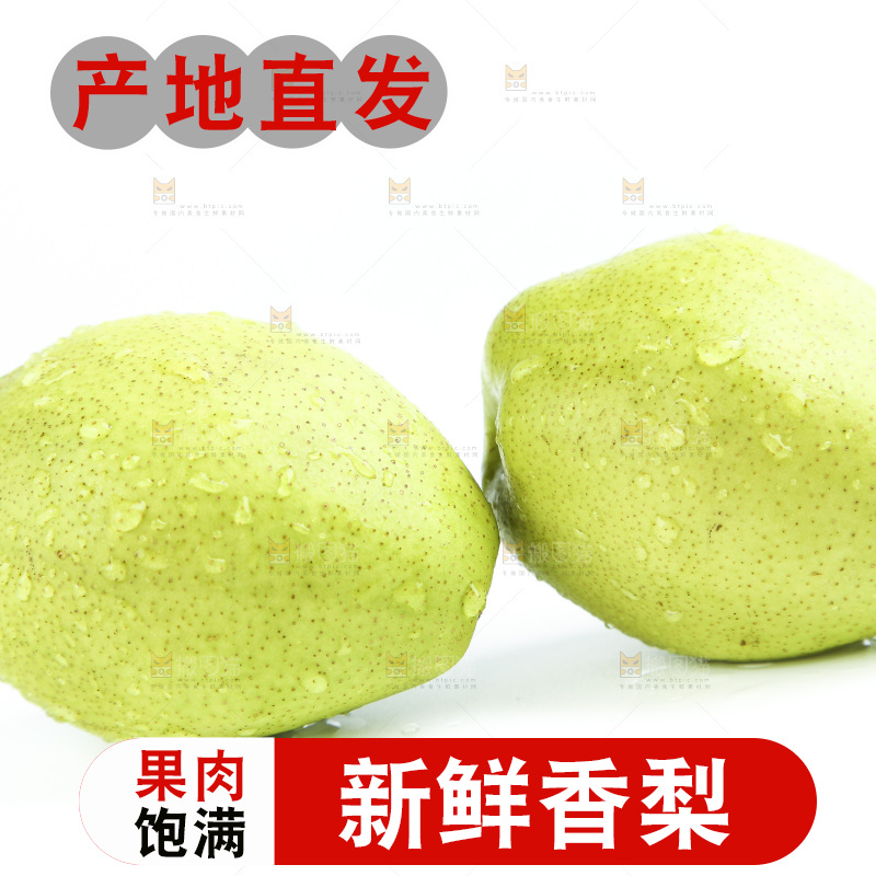 白底上的香梨