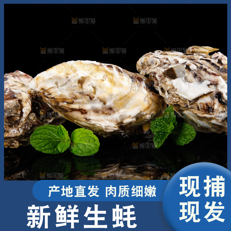 深底上放着牡蛎