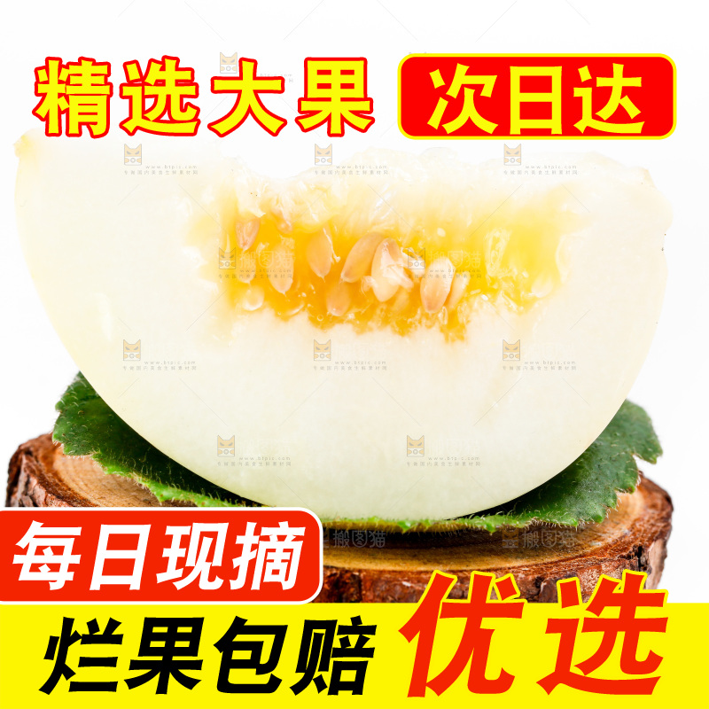 白底上的阎良甜瓜
