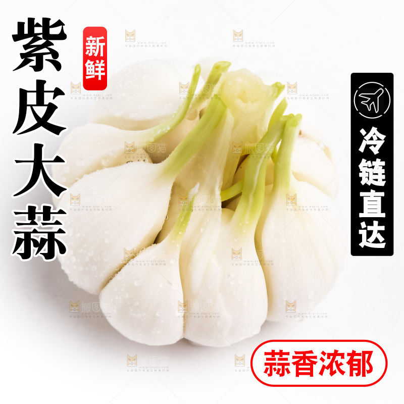 白底上放着新鲜大蒜