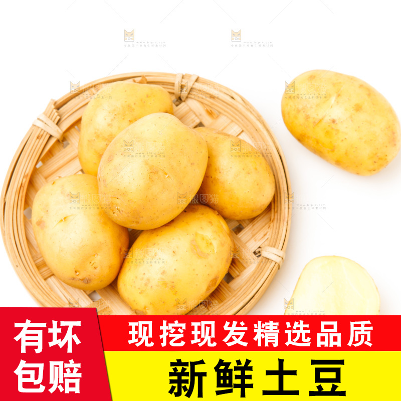 一盘新鲜土豆放在白底上