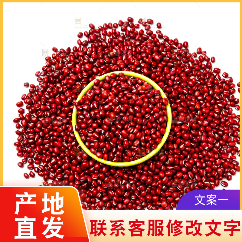 东北红小豆放在白底上
