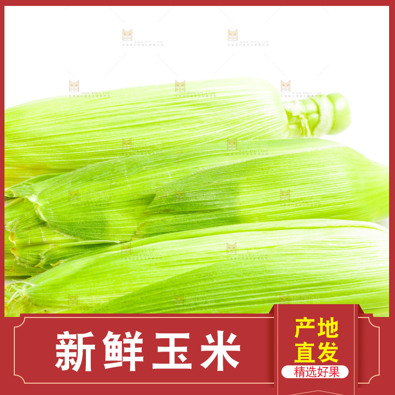 白底上放着新鲜玉米