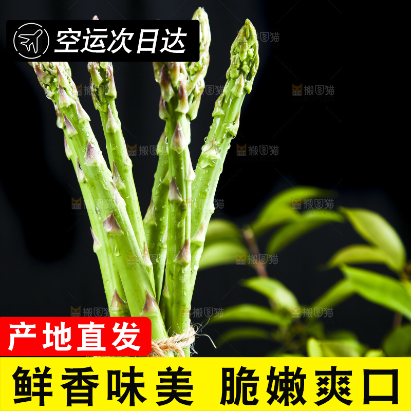 黑底上的青芦笋