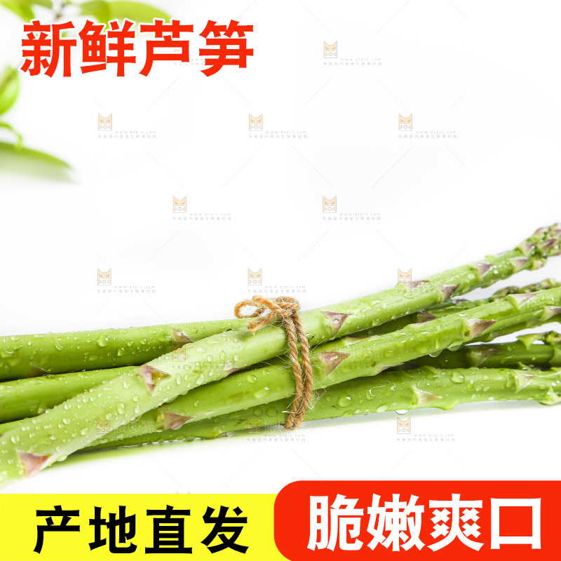 白底上的山东青芦笋