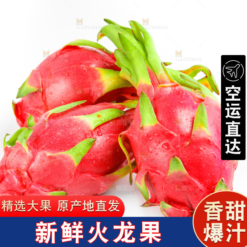 白心火龙果放在白底上