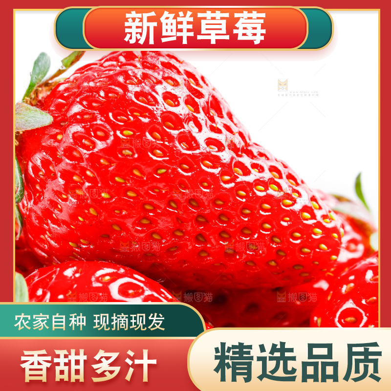 白底上的丹东草莓