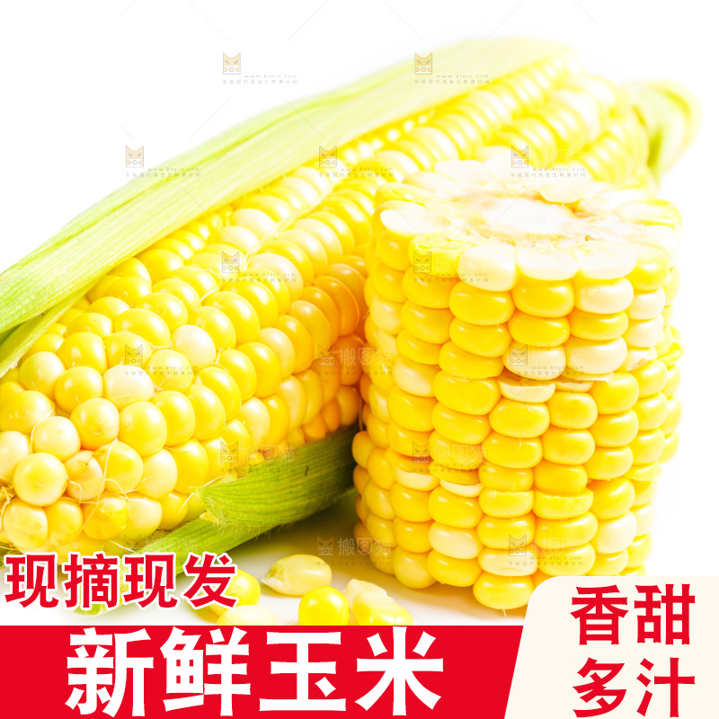 浅底上放着甜玉米