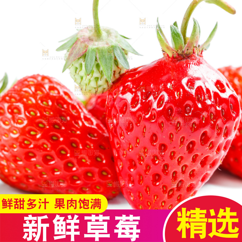 白底上放着99草莓