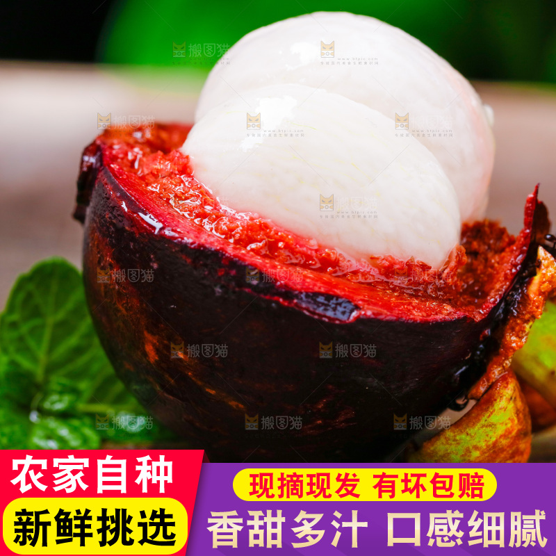 深底上的山竹