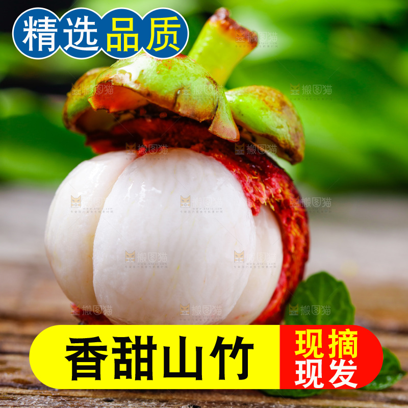 木底上的新鲜山竹
