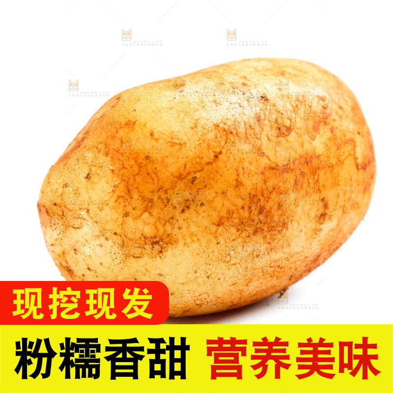 白底上的土豆