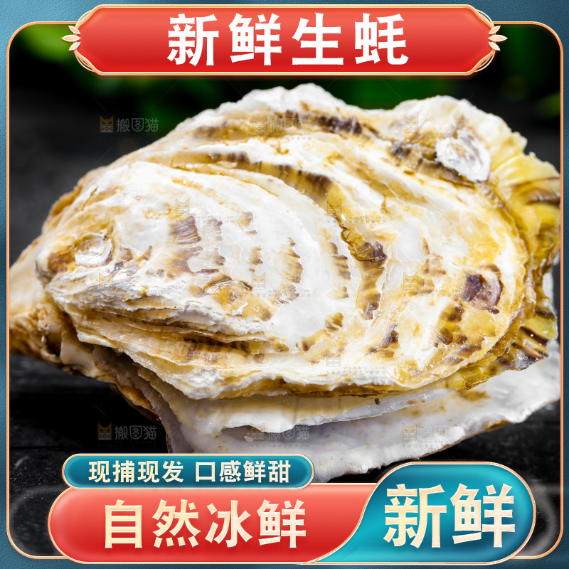 黑底上放着海蛎子