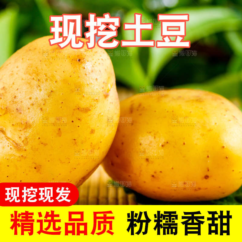 木底上的土豆