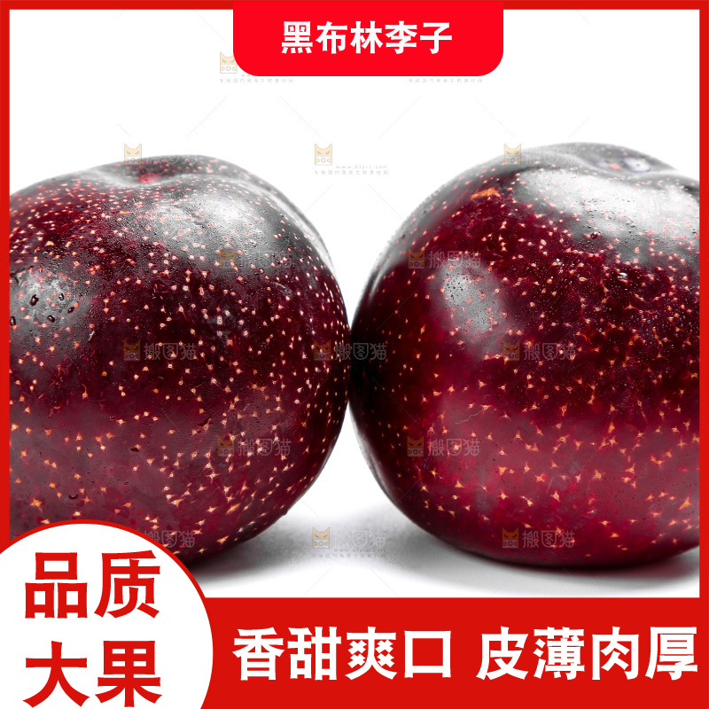 白底上的黑布林