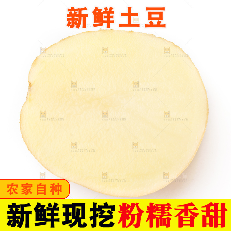 新鲜土豆放在白底上