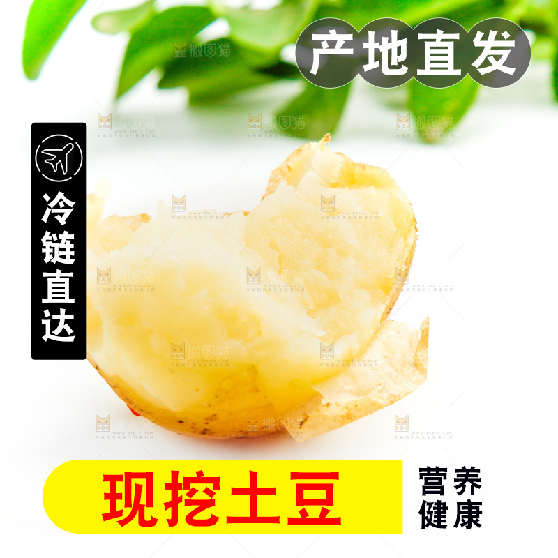 白底上放着云南黄心土豆