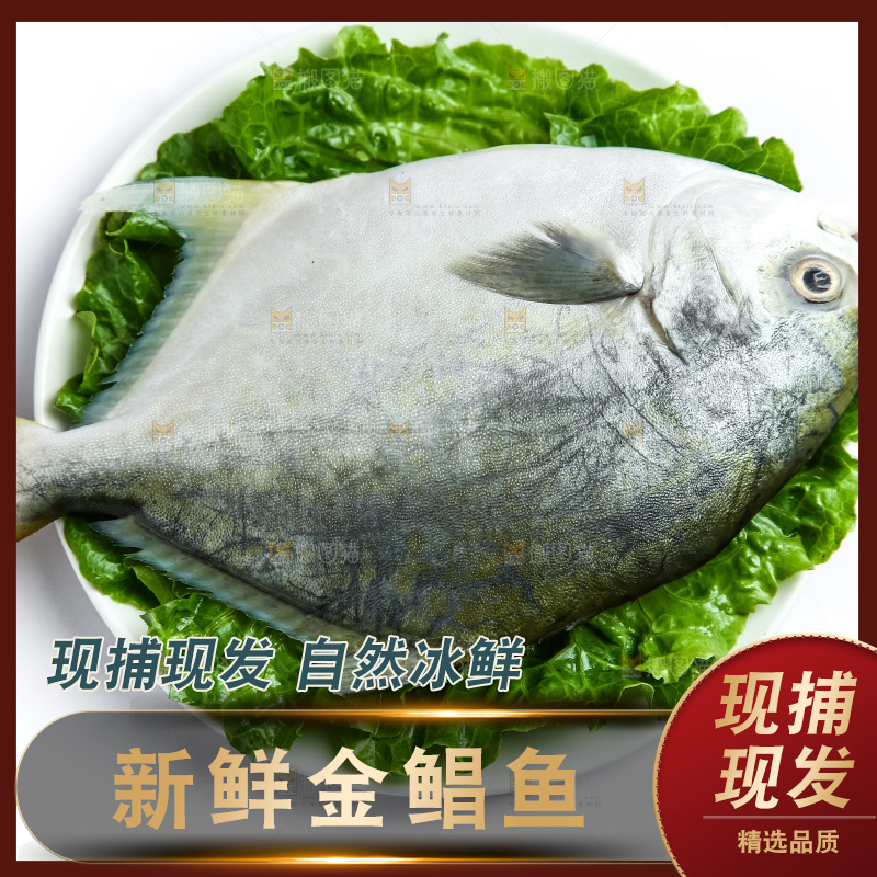 白底上放着一盘金鲳鱼