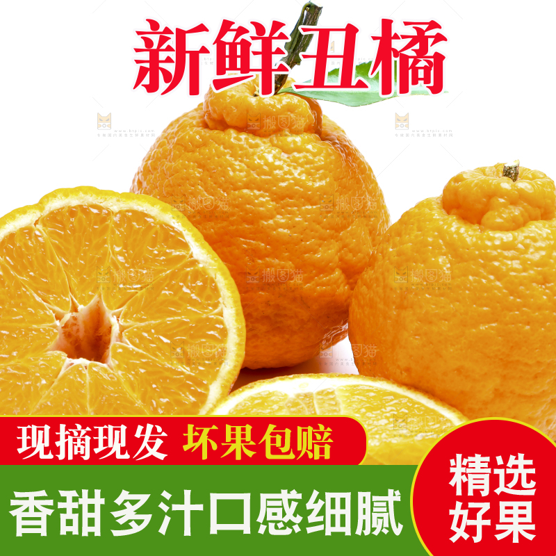 切开的四川丑橘放在白底上