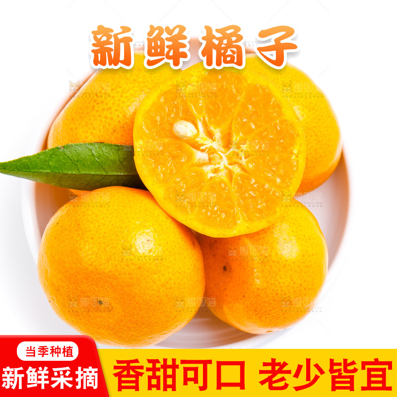 新鲜橘子放在白底上